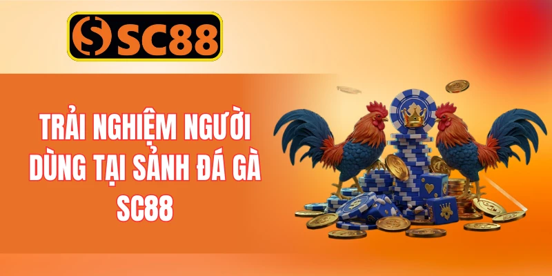 Trải nghiệm người dùng tại sảnh đá gà SC88